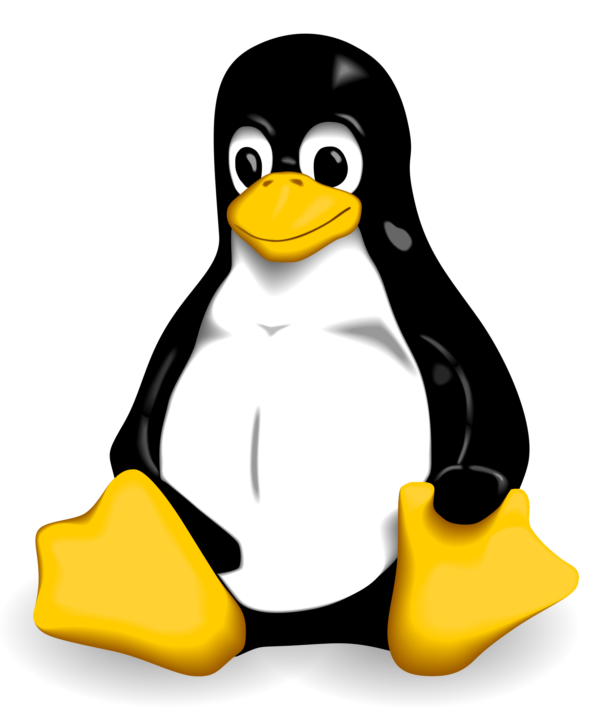 IPTables Logo